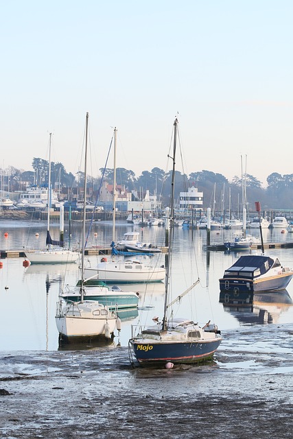 Home-movers in Hamble